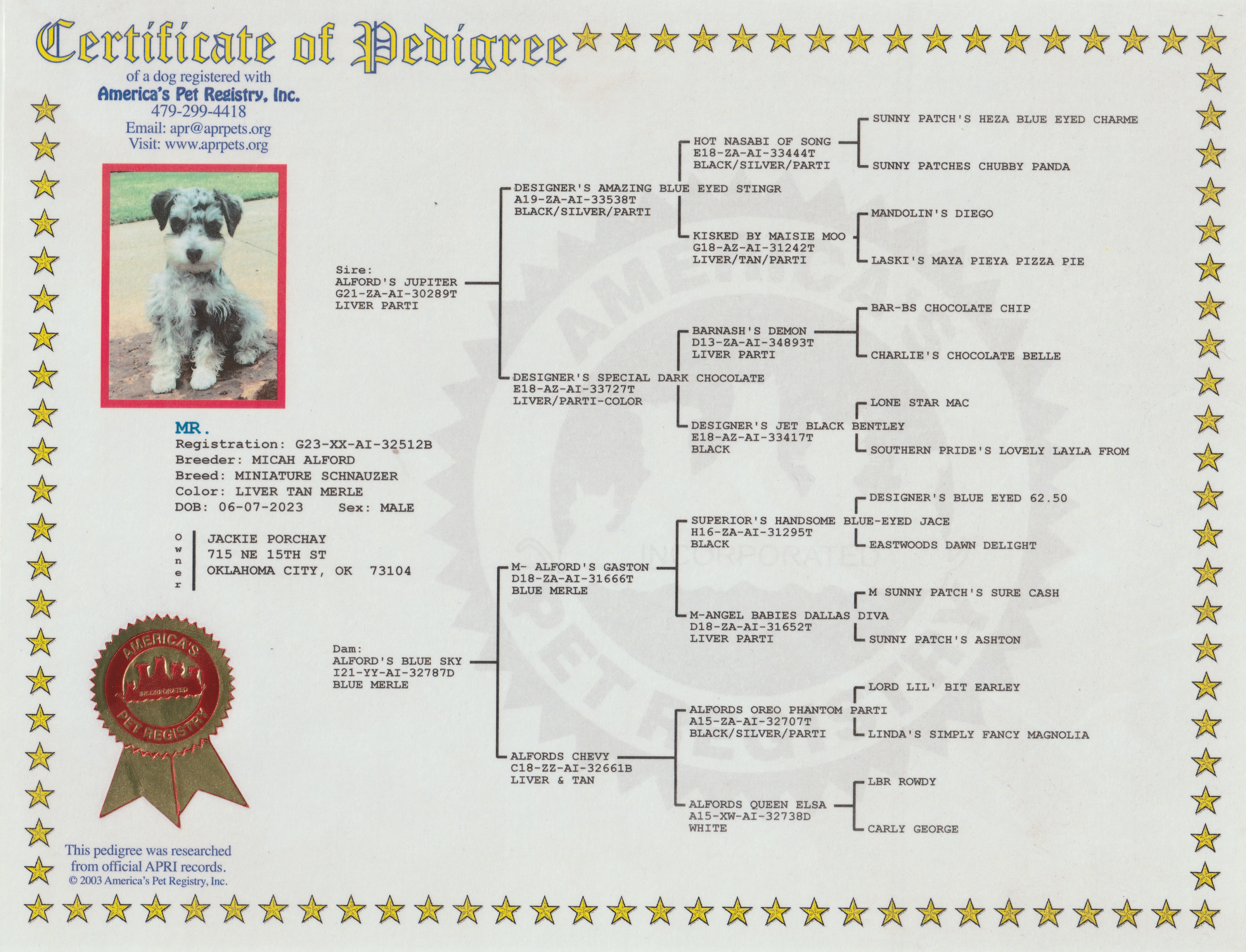 Family Tree
